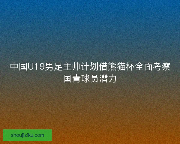 中国U19男足主帅计划借熊猫杯全面考察国青球员潜力