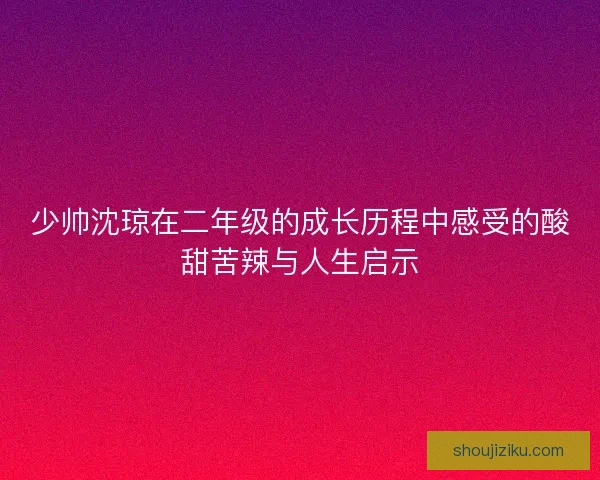 少帅沈琼在二年级的成长历程中感受的酸甜苦辣与人生启示