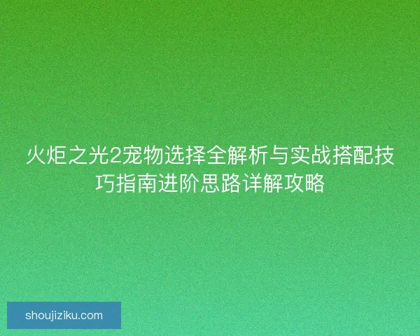 火炬之光2宠物选择全解析与实战搭配技巧指南进阶思路详解攻略